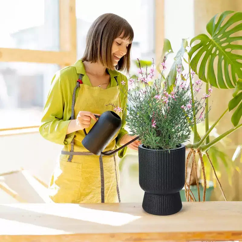 Indoor Flower Pots