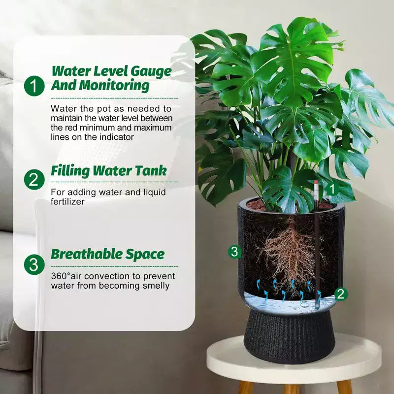 Indoor Flower Pots
