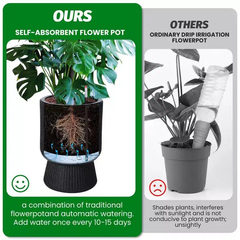 Indoor Flower Pots