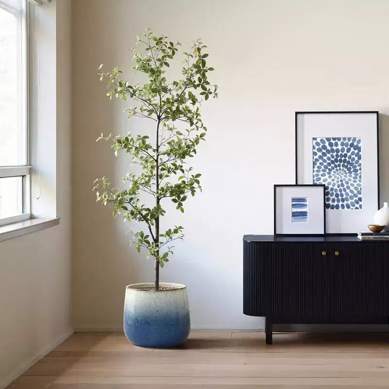 Blue Round Ceramic Planter Pot