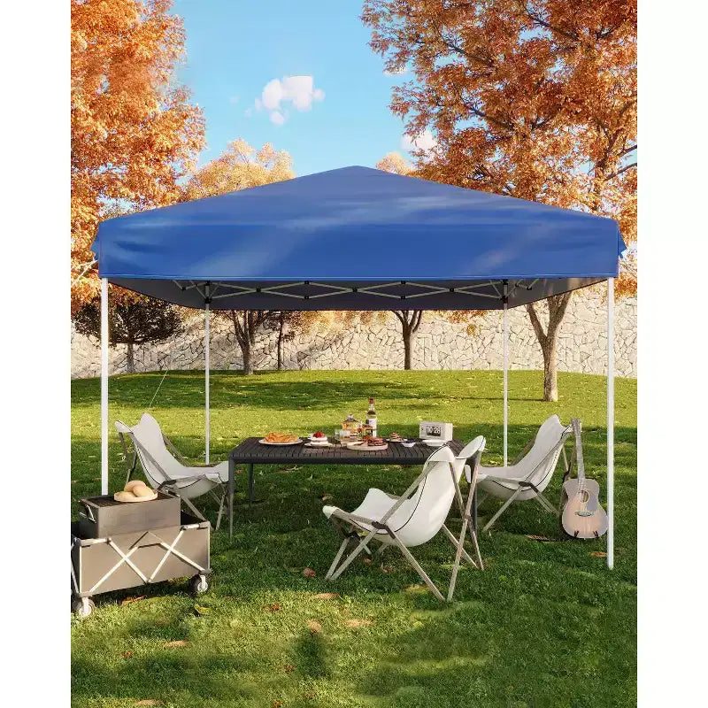 Pop Up Canopy Tent