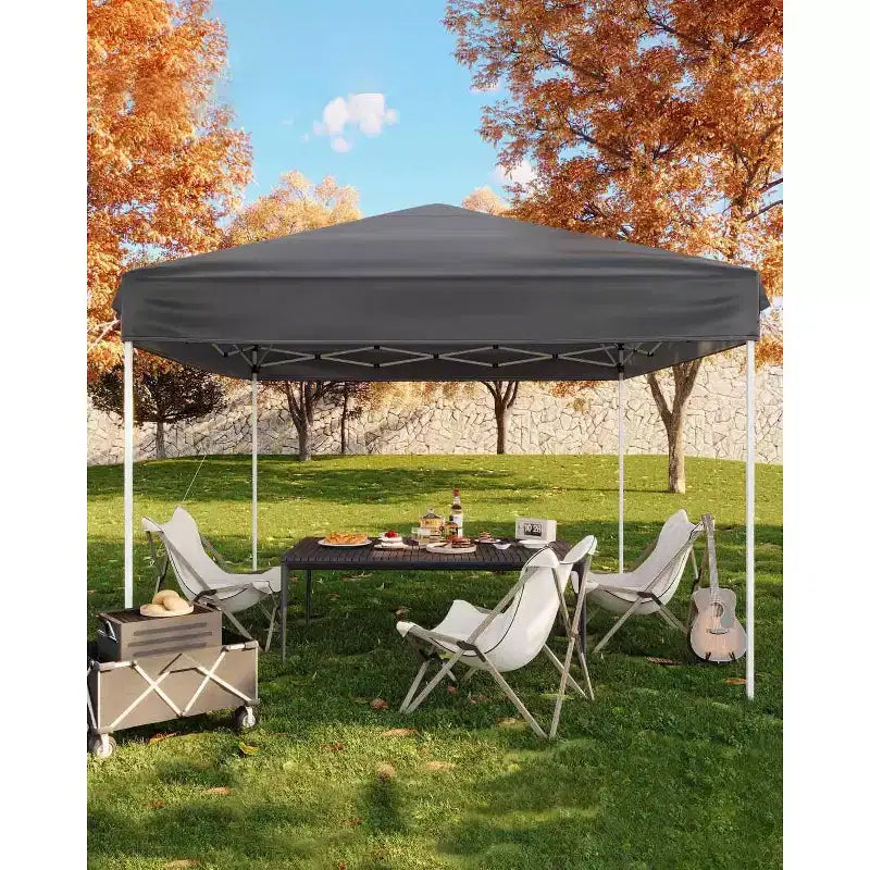 Pop Up Canopy Tent